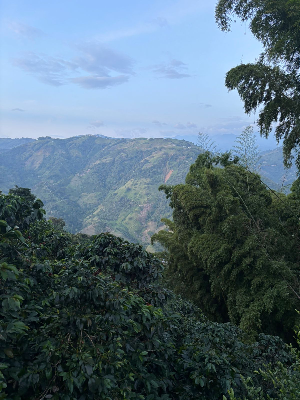 Finca Alto Torres