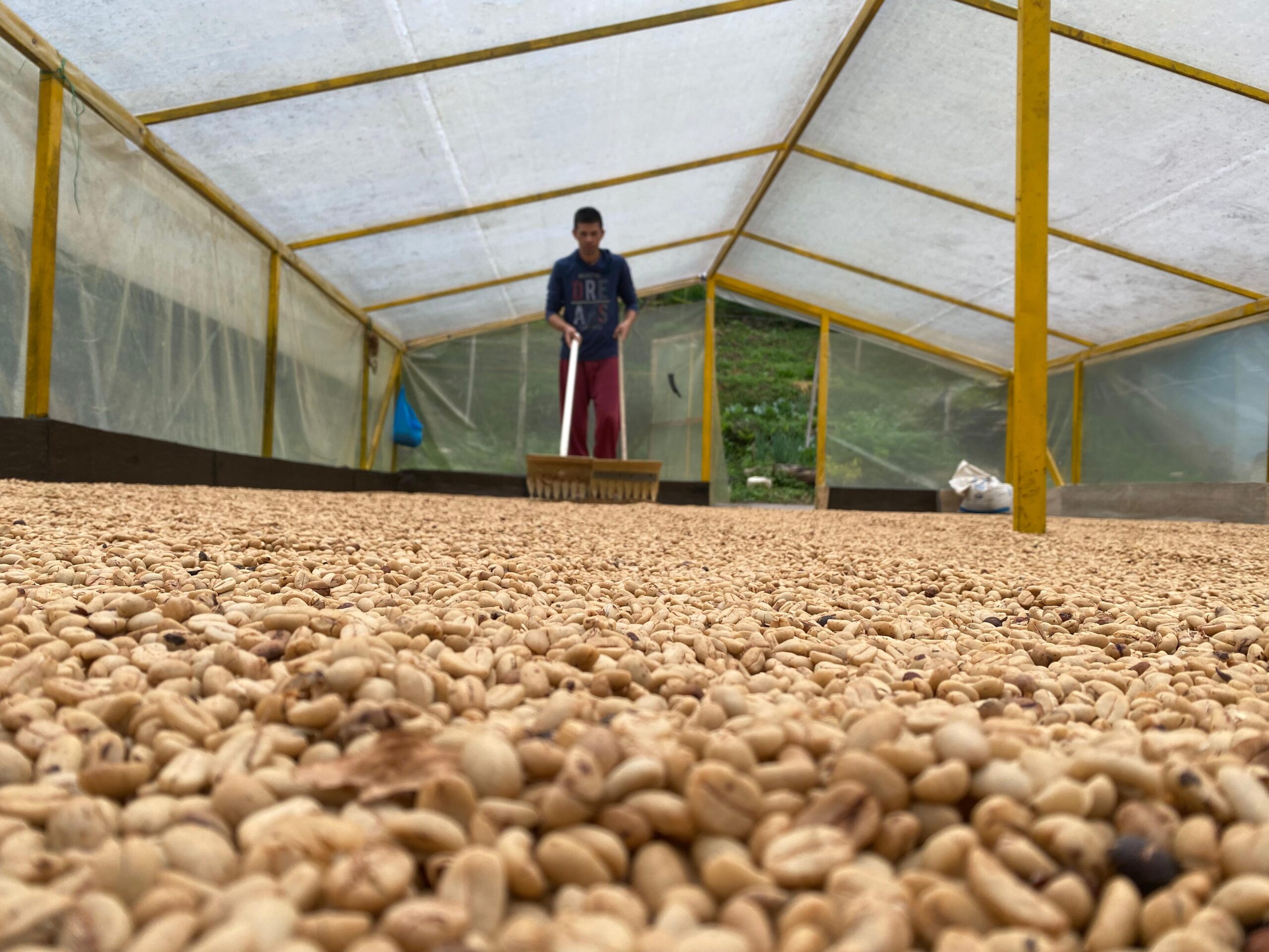 Finca El Rincón