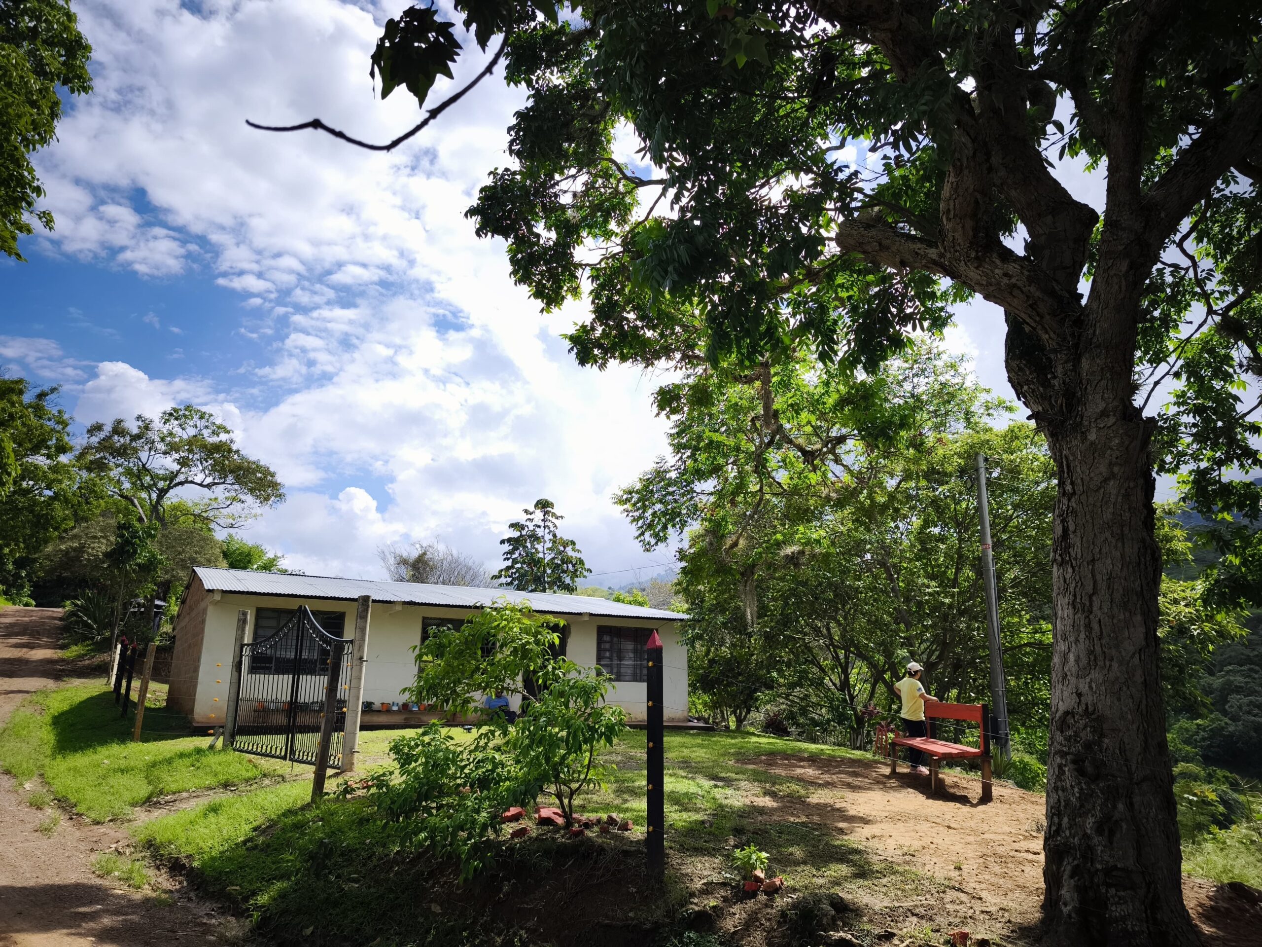 Café Tribal Café Tribal