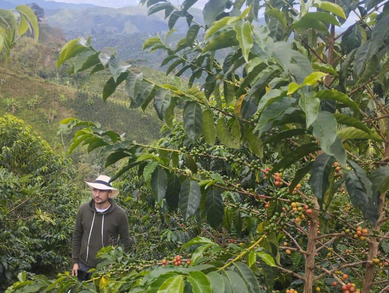 FINCA LA RESERVA TRES CIELOS - 甄选庄园